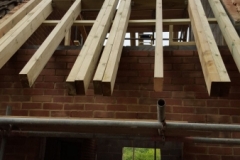 Wall Plate & rafters